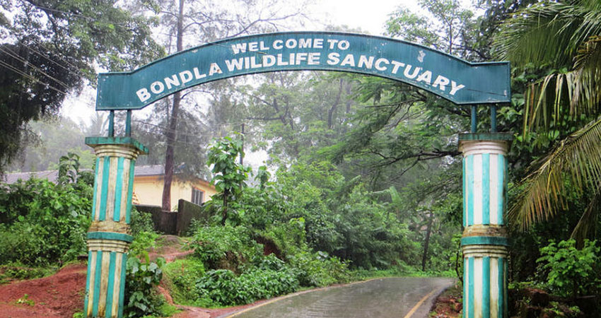 Bondla Wildlife Sanctuary Goa, Best Tours in Goa