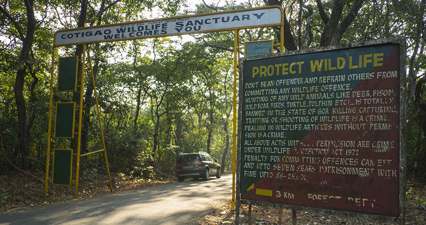 Cotigao wildlife Sanctuary in Goa, Best Tours in Goa