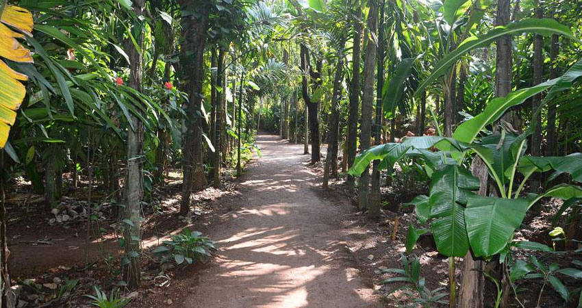 spice plantation in goa, Best Tours in Goa