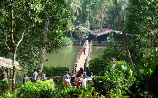 Spice Plantation in Goa